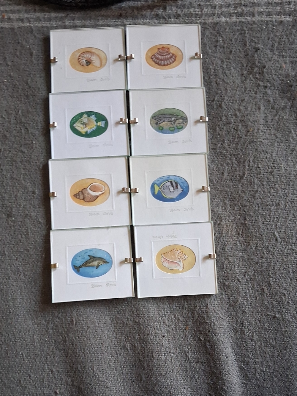 Coastal Shells & Sea Life Mini Framed Art Set  with Multicolor Watercolor Prints